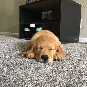 Meet your Posher, Andrea